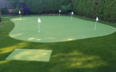 What does a PGA Tour Pro Want From Their Putting Green?