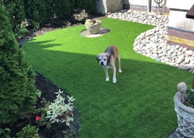 artificial grass for dogs