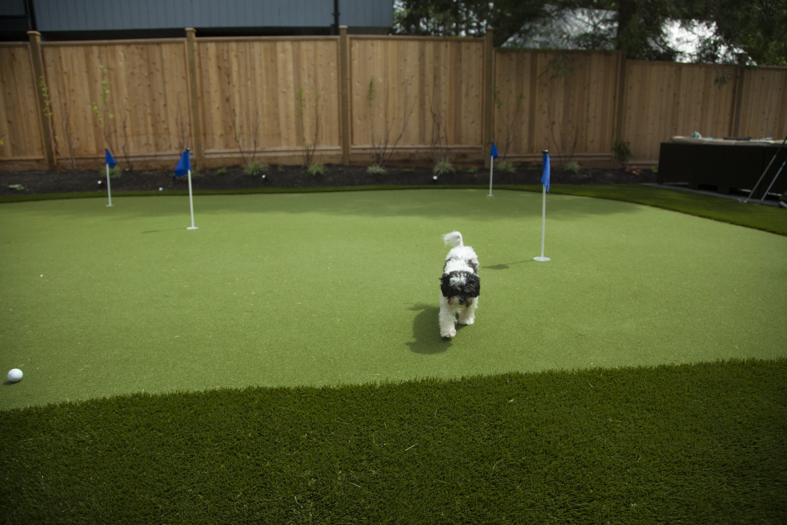 artificial grass at the gym