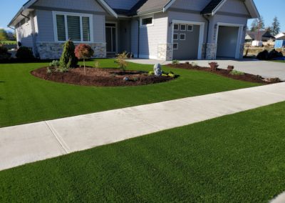 Prime-Fescue-Turf