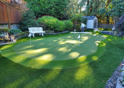 Backyard-putting-green