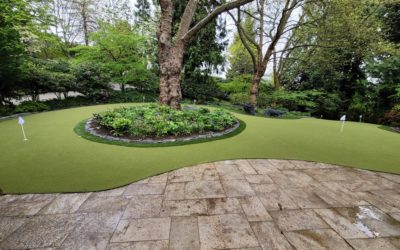 Artificial Grass Ideas For Your Yard