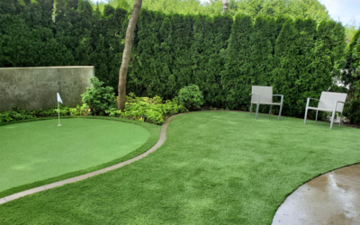 Landscape Design with Artificial Grass