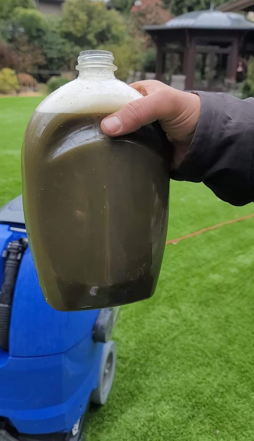 How Often Should You Clean Artificial Grass Turf Team how-often-should-you-clean-artificial-grass-turf-team