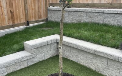 Artificial Grass vs Real Grass in Vancouver’s Climate