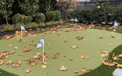 Fall Maintenance for Artificial Grass